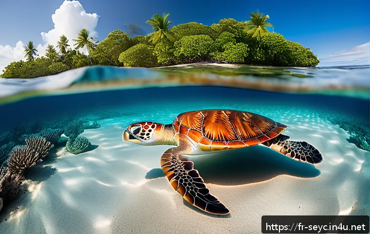 세이셸 유네스코 등록 이유 - A vibrant underwater scene showcasing the diverse coral reefs of the Seychelles, featuring a rich ar...