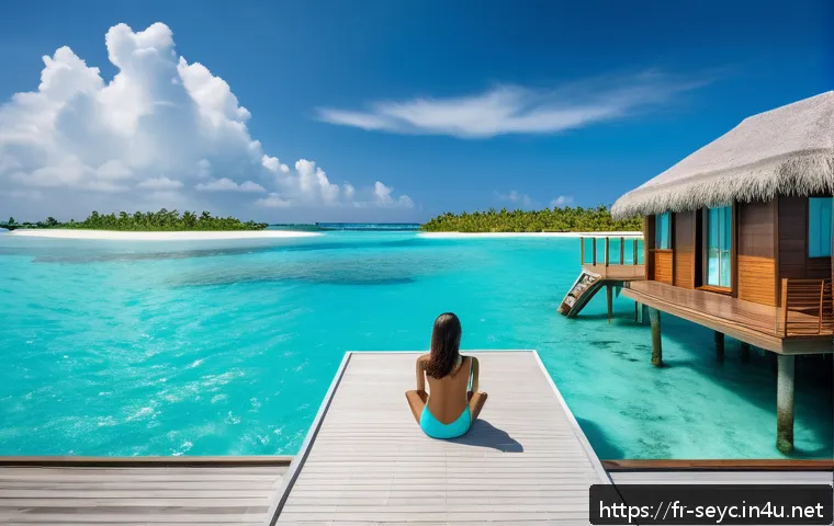 세이셸과 몰디브 비교 여행 관련 이미지 1